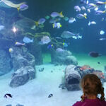 Restaurant Nordlicht