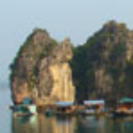 Café Konditorei Dibbern