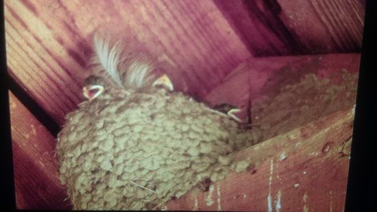 Naturerlebnispark Gristow