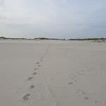 Mudrick Backerei-Konditorei-Cafe