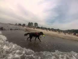 Hundestrand Grömitz