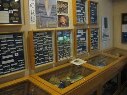 Haus der Natur Cismar