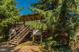 Wisentgehege Insel Usedom