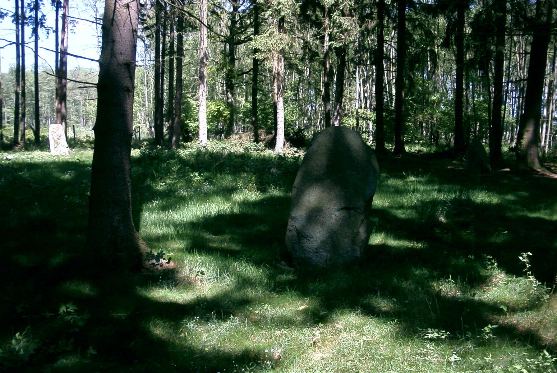 Steintanz von Netzeband