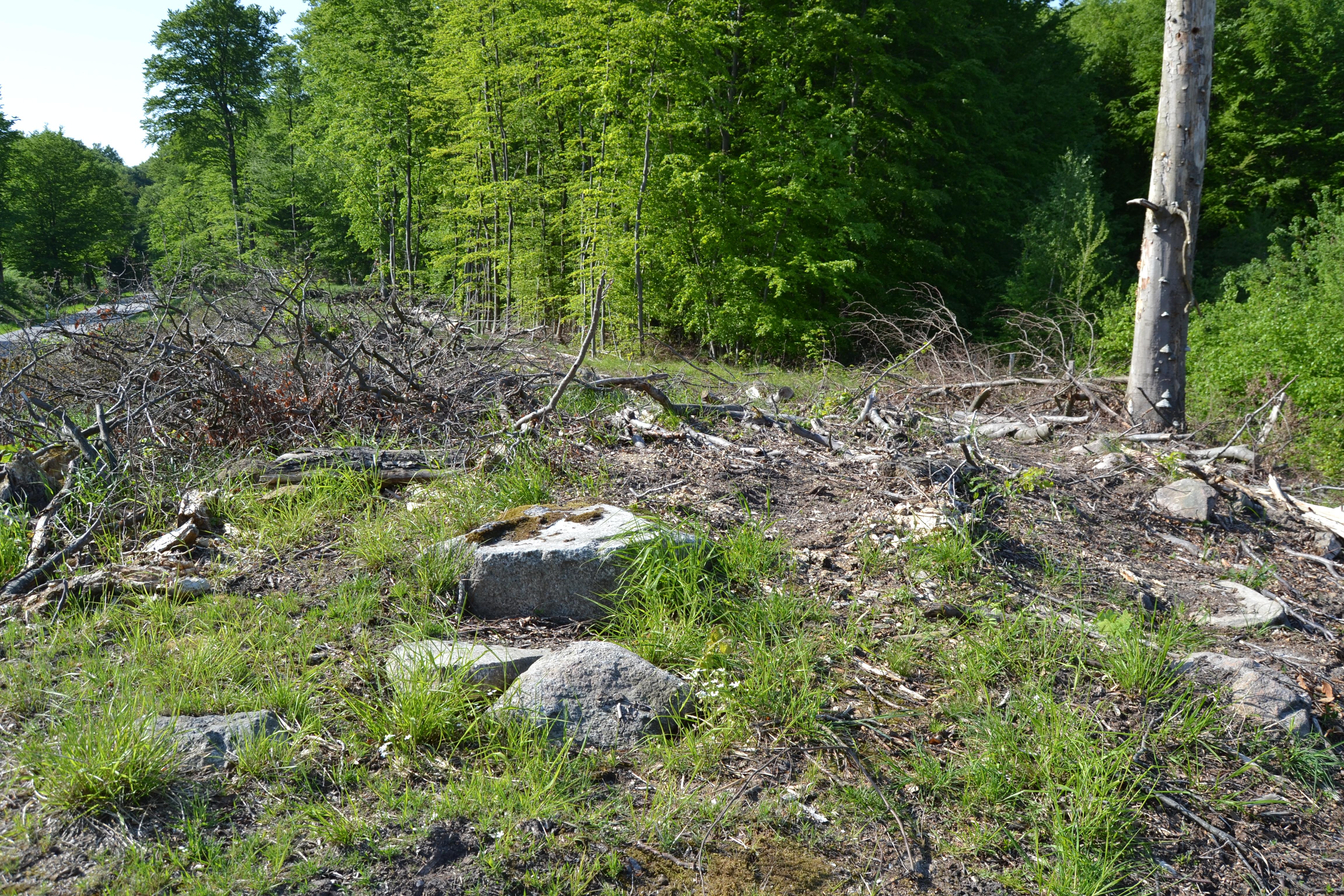 Urdolmen von Dobersdorf