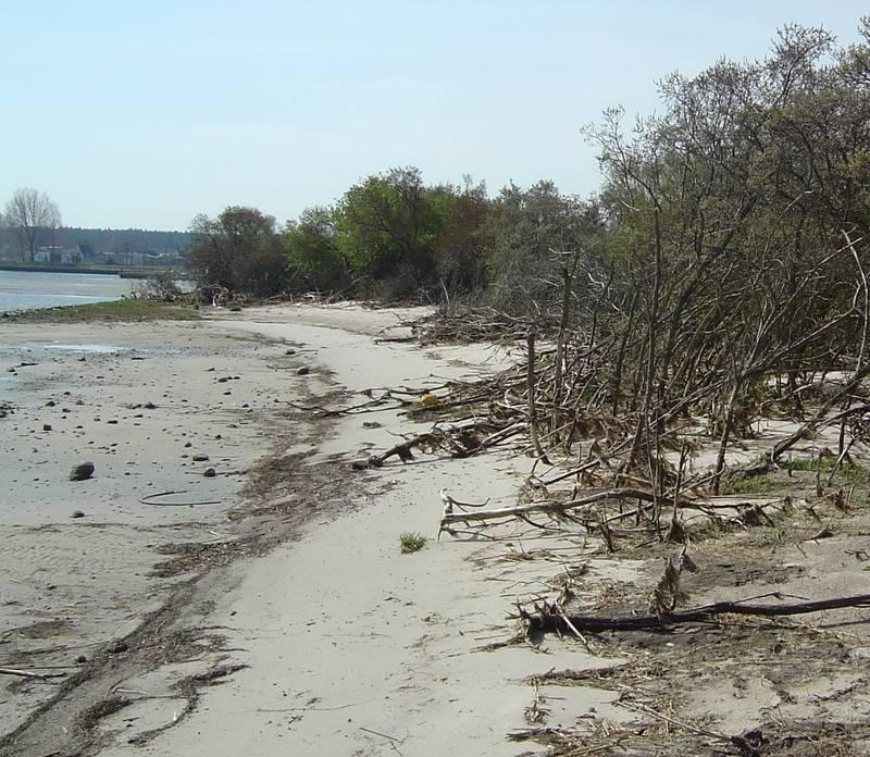 Naturschutzgebiet Peenemünder Haken