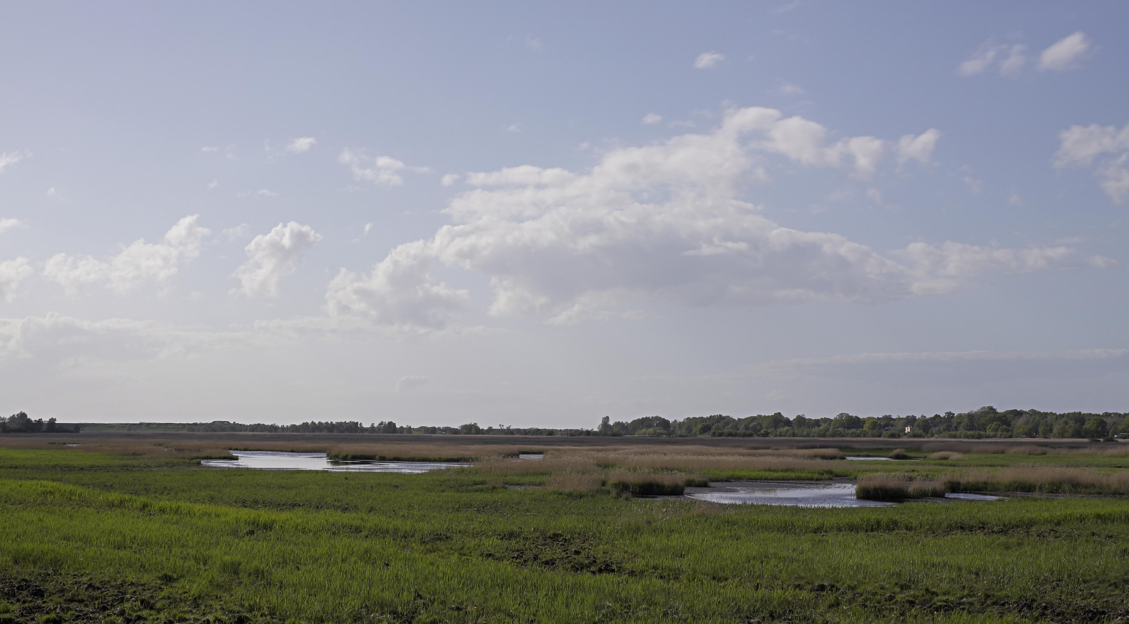 Naturschutzgebiet Radelsee