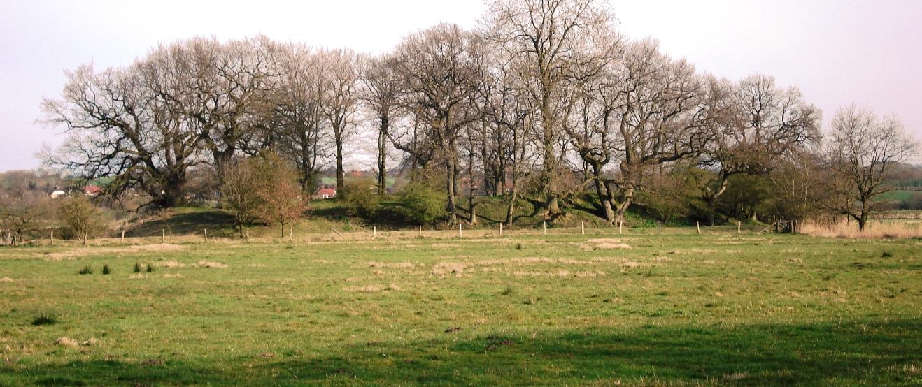 Großer Schlichtenberg