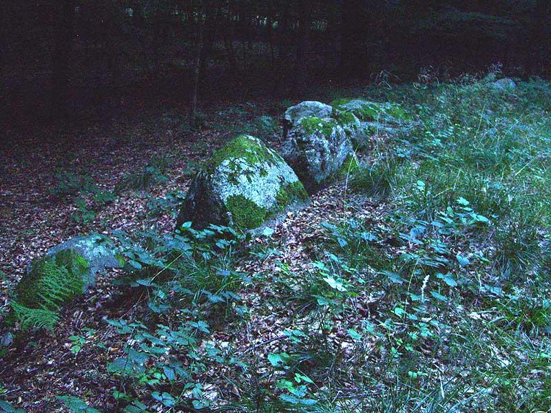 Großsteingrab Pinnesgrab