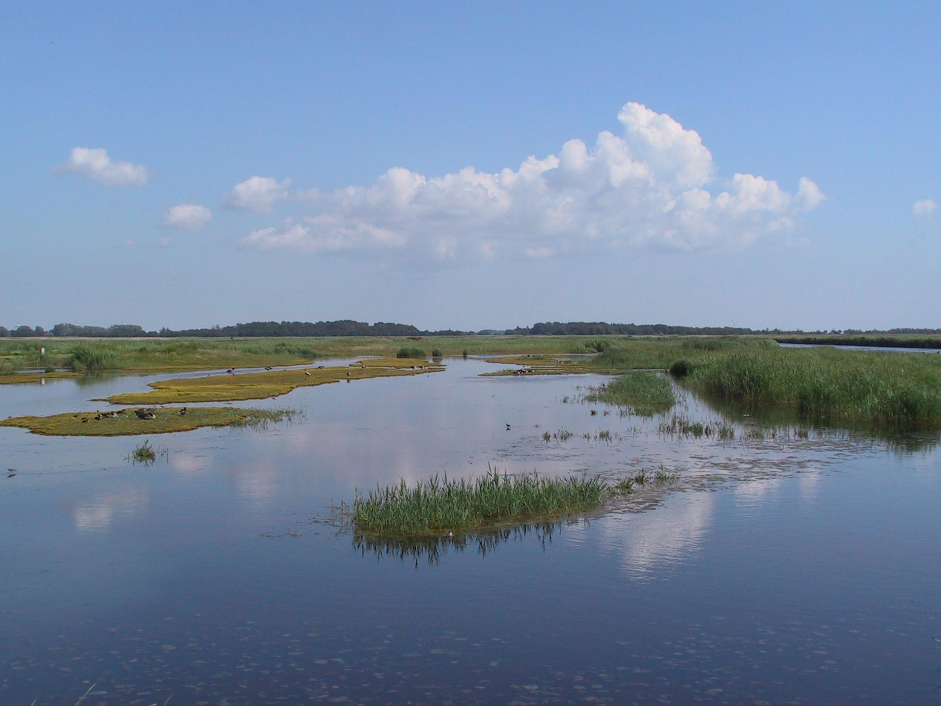 NABU Wasservogelreservat Wallnau