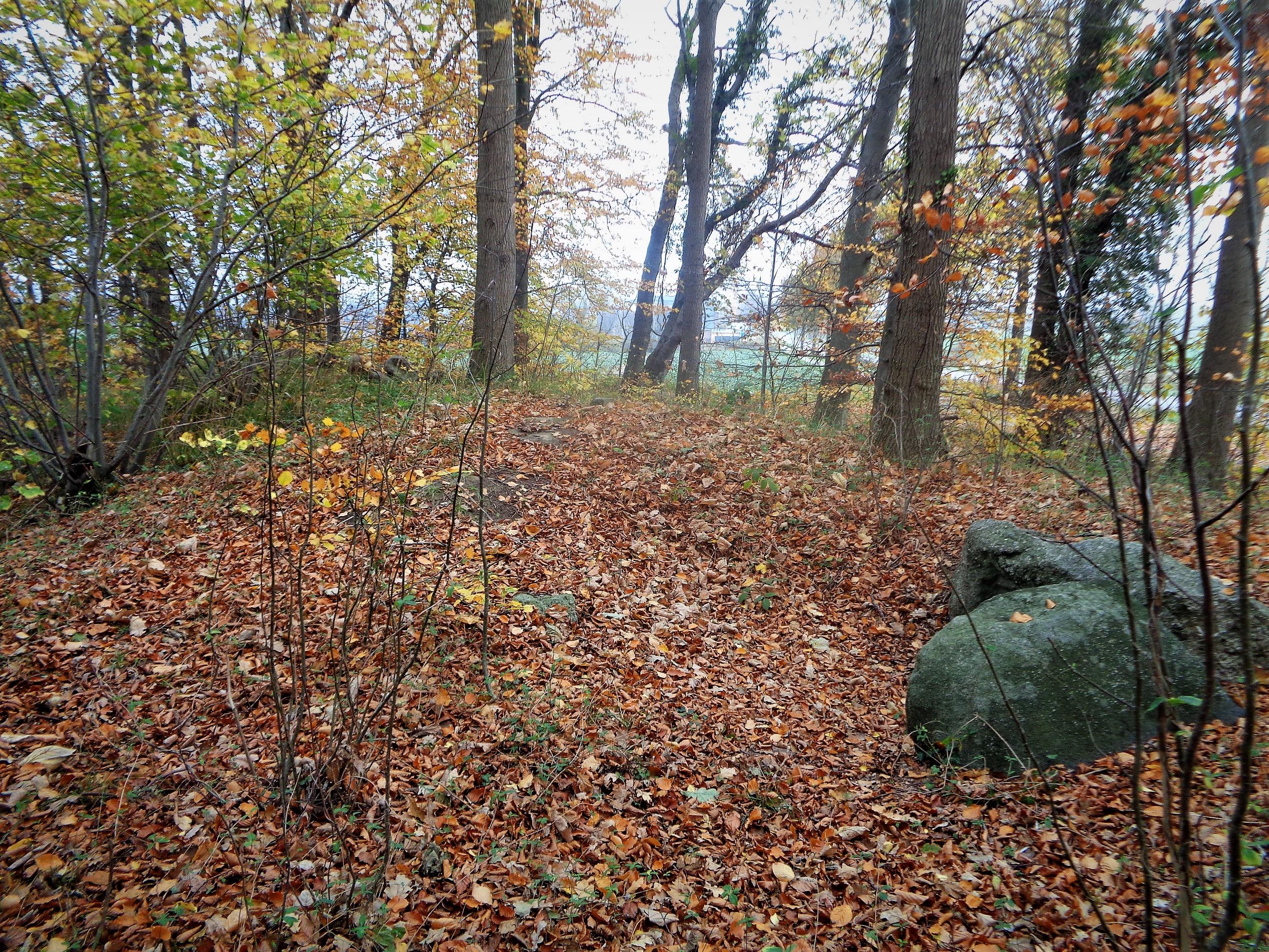 Großsteingrab Probsteierhagen