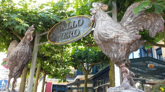 Gallo Nero Ristorante Pizzeria