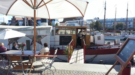 Hornfischbar auf der Pomeria