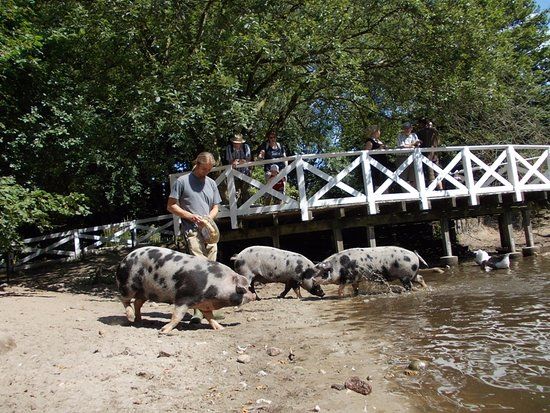 Haus- und Nutztierpark Arche Warder
