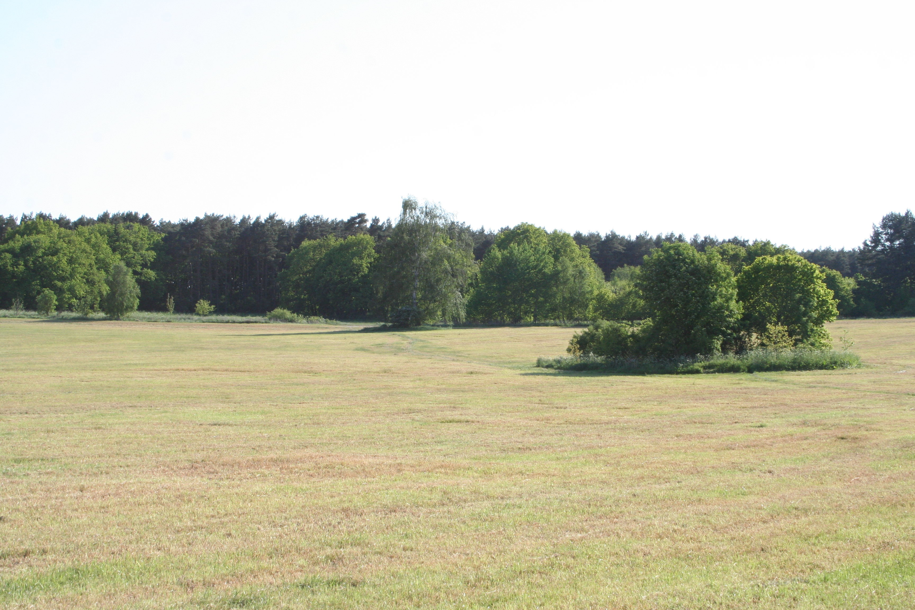 Großsteingräber bei Burtevitz