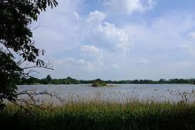 Viereggenhöfer Teich